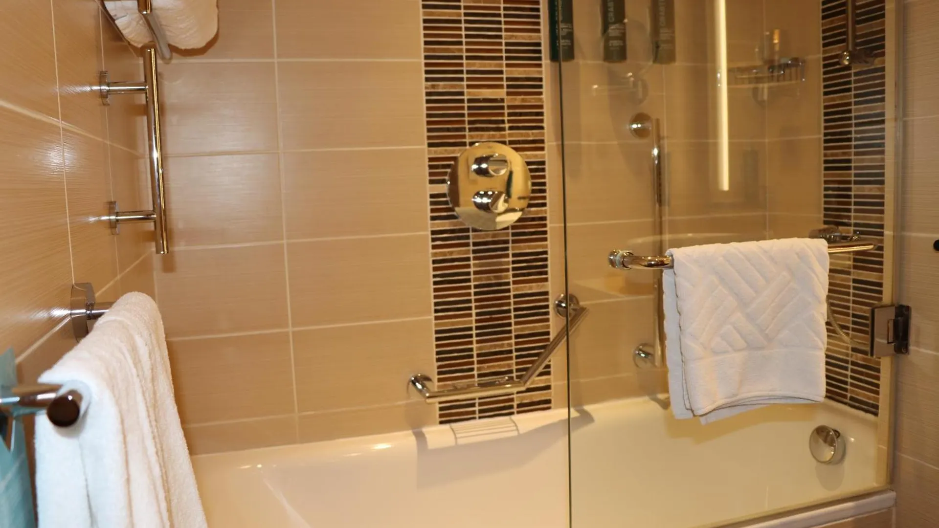 Hotel Hilton Garden Inn Dubai, Mall Avenue