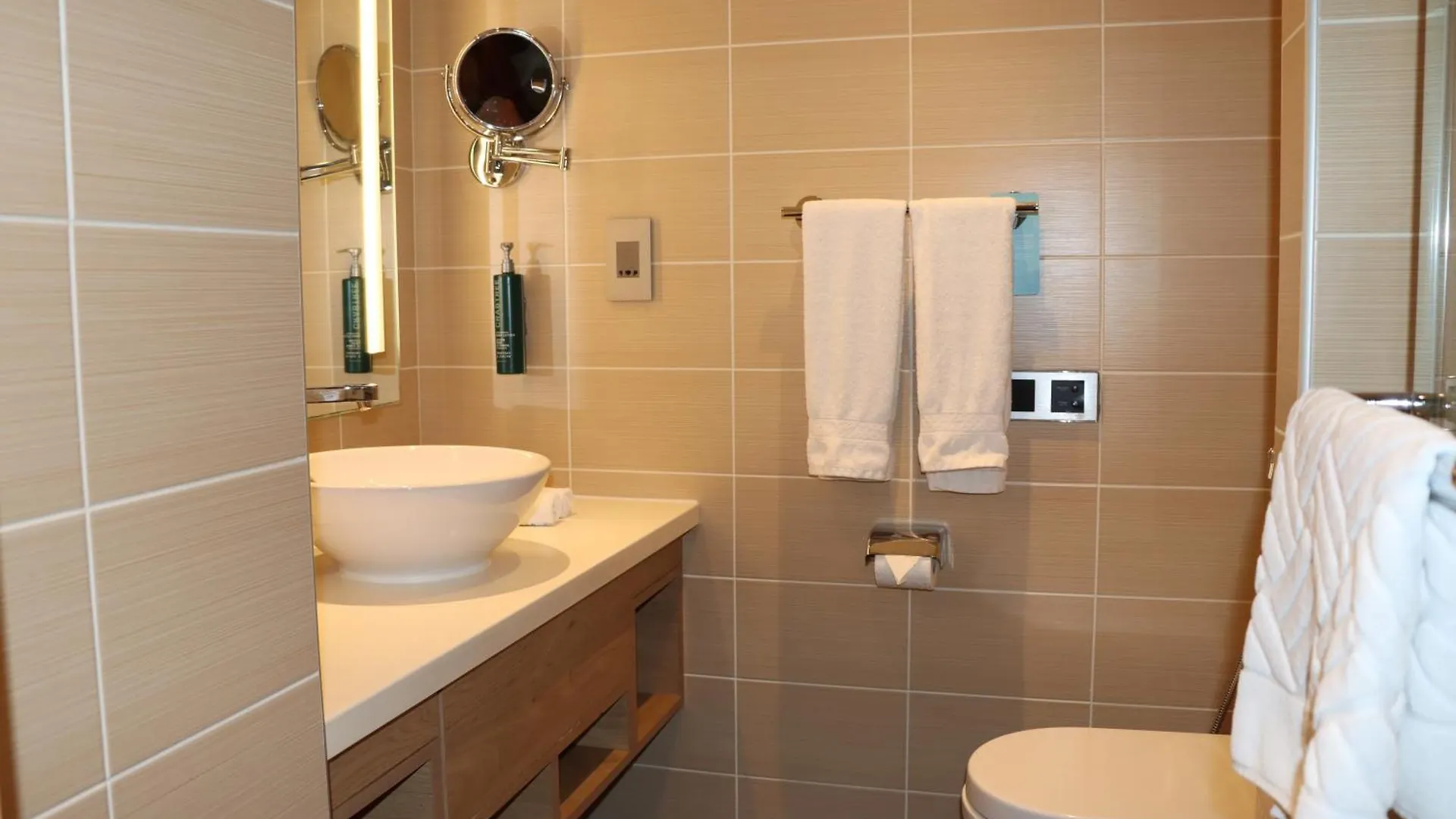 Hotel Hilton Garden Inn Dubai, Mall Avenue